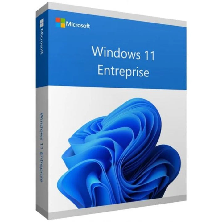 Microsoft Windows 11 Enterprise Retail