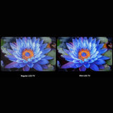 Xiaomi S 2025 65" Smart TV - QD Mini LED UltraHD 4K Google TV
